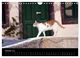 Thumbnail-12