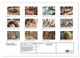 Thumbnail-13