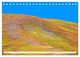 Thumbnail-13