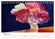 Thumbnail-12