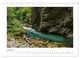 Thumbnail-11