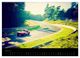 Thumbnail-12