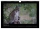Thumbnail-14