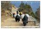 Thumbnail-9