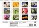 Thumbnail-10
