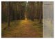 Thumbnail-11