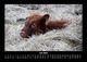 Thumbnail-11