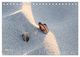 Thumbnail-8