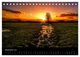 Thumbnail-14