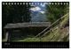 Thumbnail-12