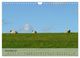 Thumbnail-13