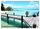Thumbnail-11