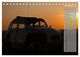 Thumbnail-13