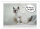 Thumbnail-13