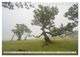 Thumbnail-14