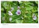 Thumbnail-13