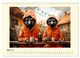 Thumbnail-8