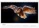 Thumbnail-12