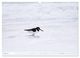 Thumbnail-10
