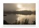 Thumbnail-13