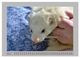 Thumbnail-9
