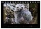 Thumbnail-9