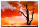 Thumbnail-8