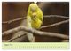 Thumbnail-13