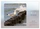 Thumbnail-11