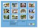 Thumbnail-11