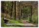 Thumbnail-12