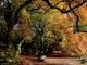 Thumbnail-2