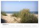 Thumbnail-11