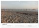 Thumbnail-12
