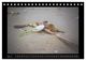 Thumbnail-8