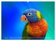 Thumbnail-8