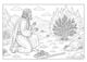 Thumbnail-10