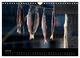 Thumbnail-12