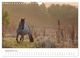 Thumbnail-14