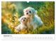 Thumbnail-14