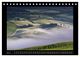 Thumbnail-10