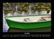 Thumbnail-11