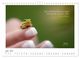 Thumbnail-12