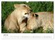 Thumbnail-12