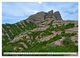 Thumbnail-14