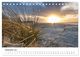 Thumbnail-14