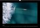Thumbnail-9
