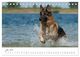 Thumbnail-9