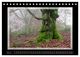 Thumbnail-8