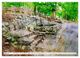 Thumbnail-8